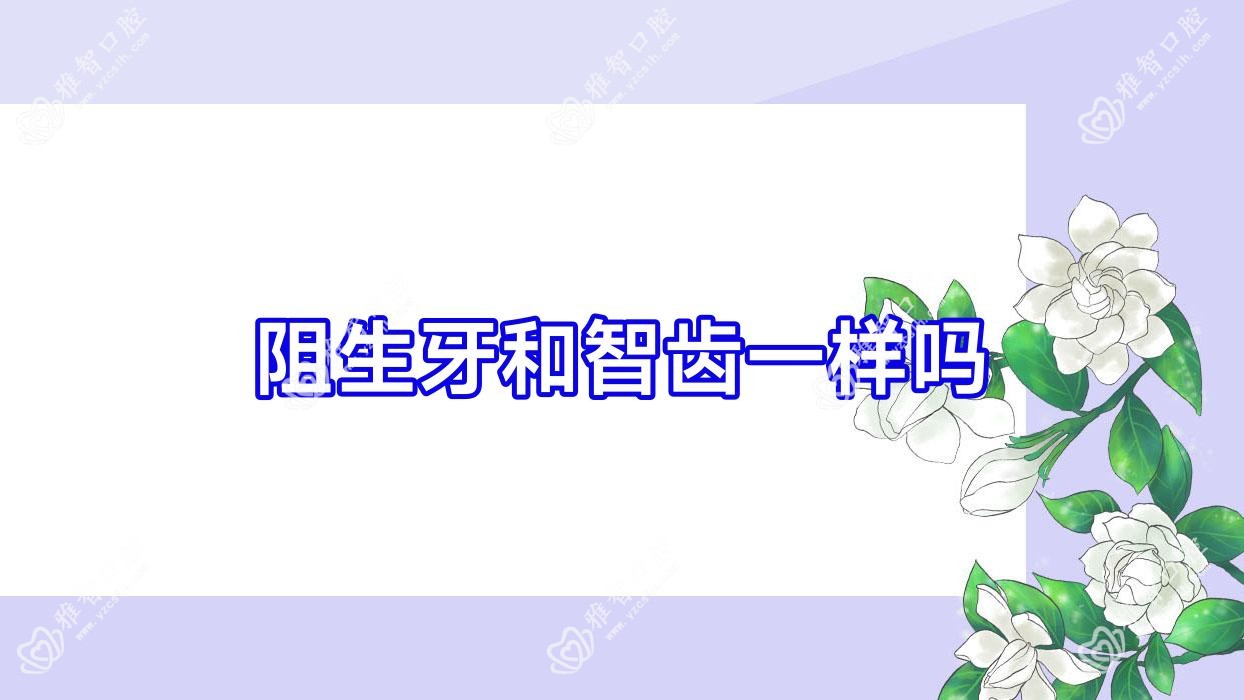 阻生牙和智齿一样吗