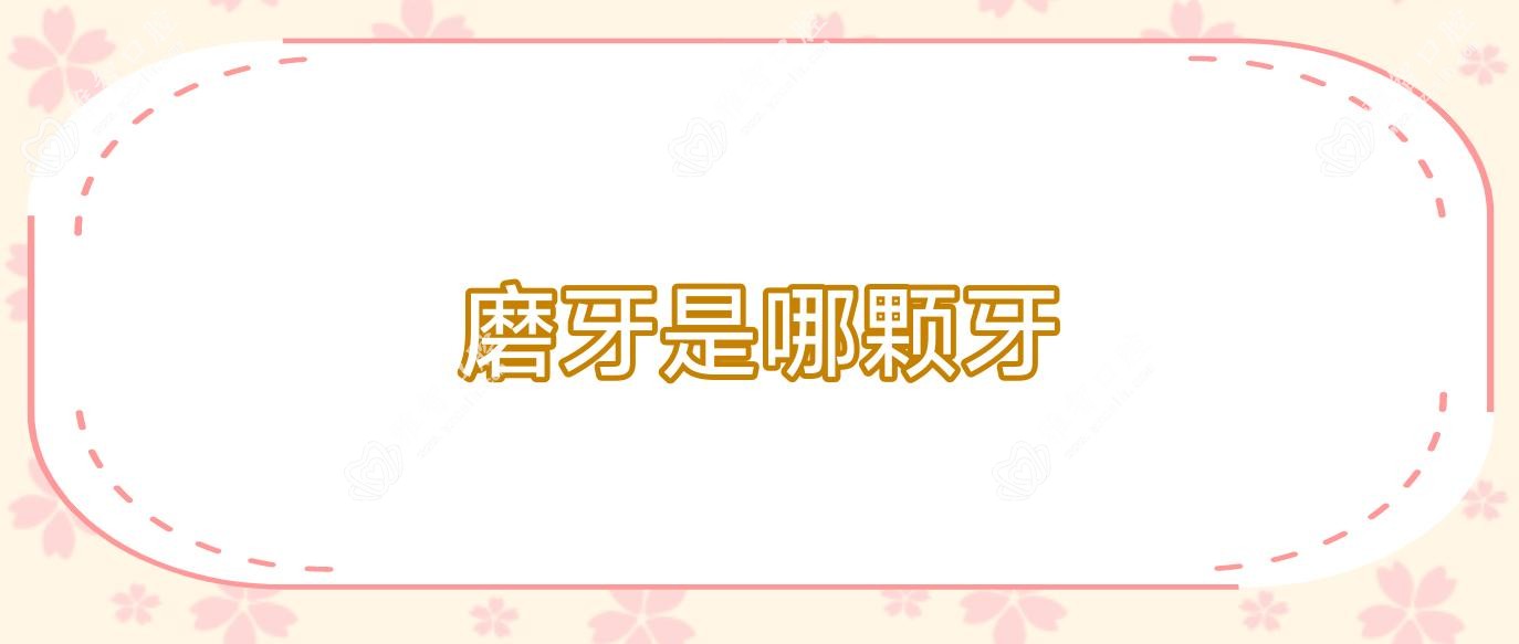 磨牙是哪颗牙