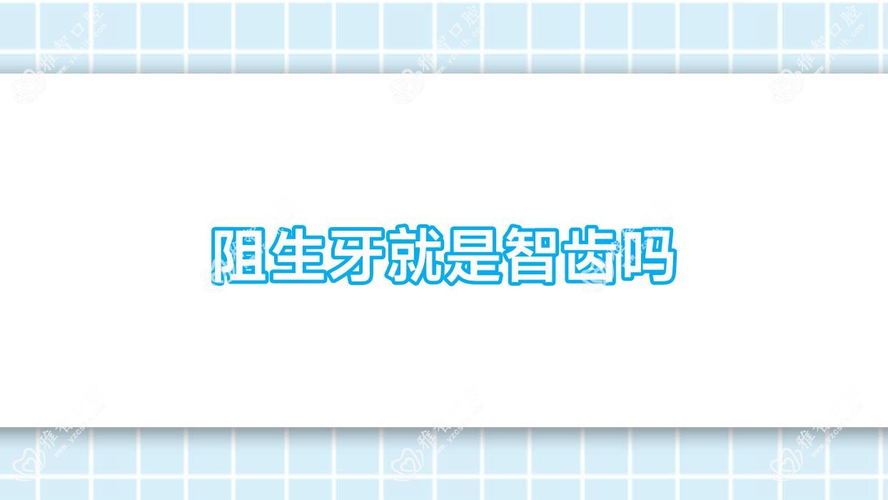 阻生牙就是智齿吗