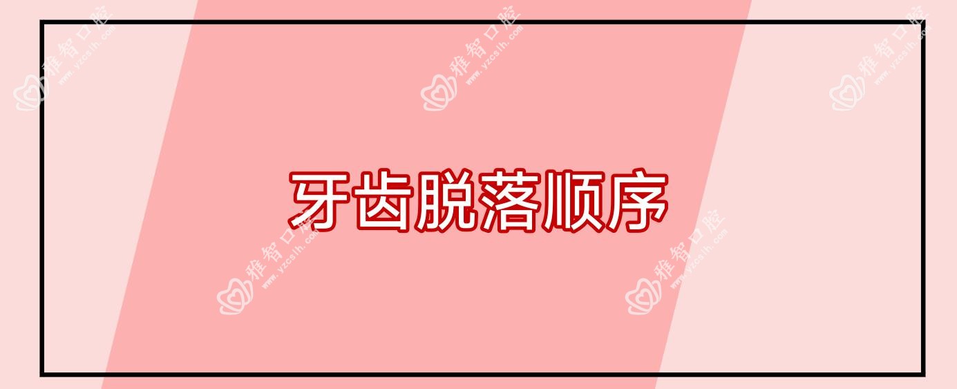牙齿脱落顺序