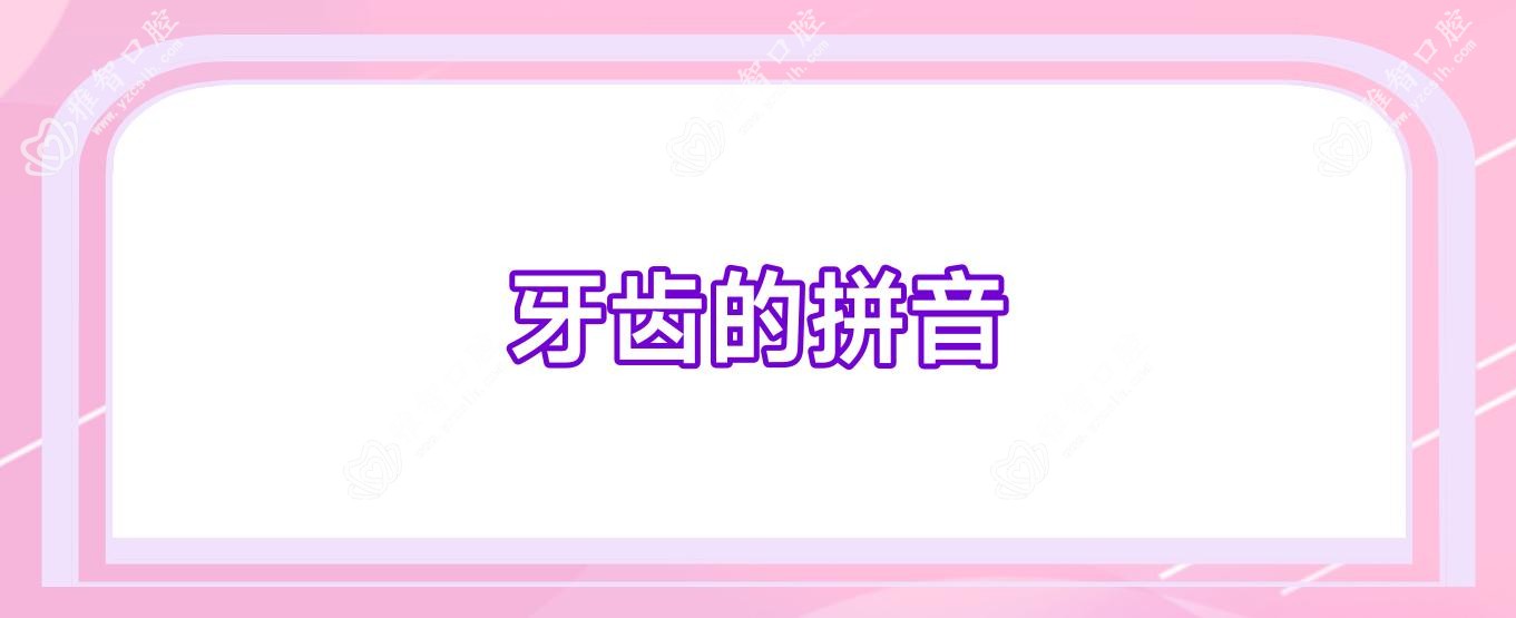 牙齿的拼音