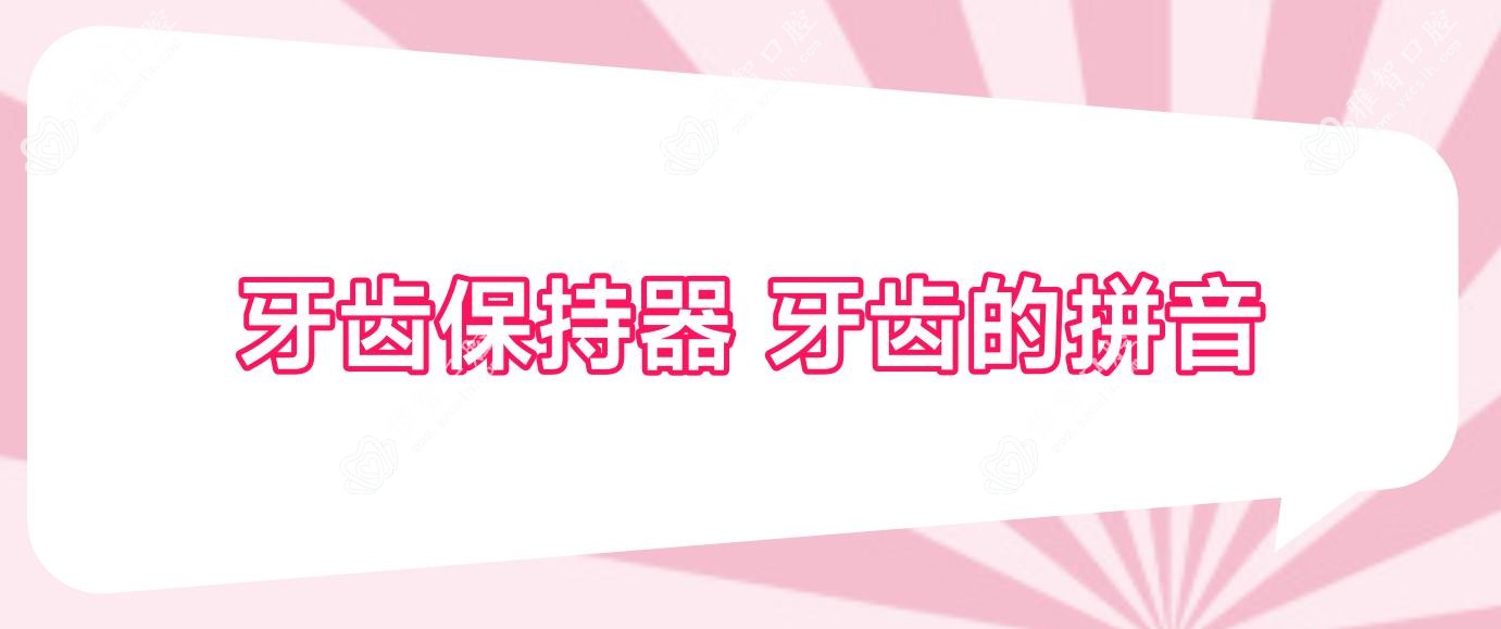牙齿保持器 牙齿的拼音