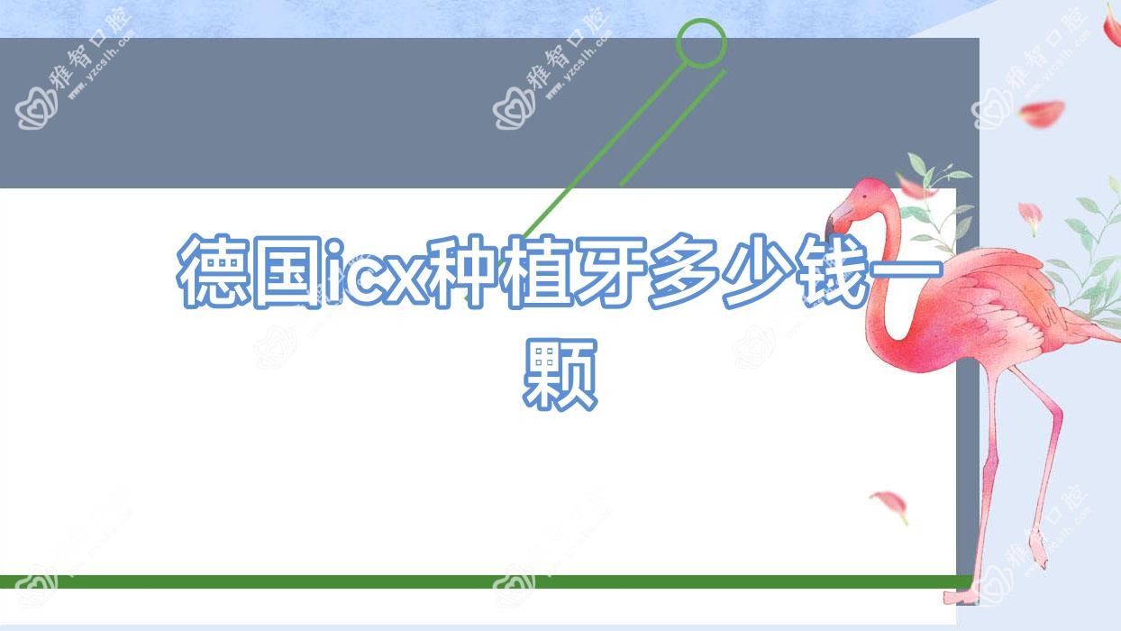 德国icx种植牙多少钱一颗