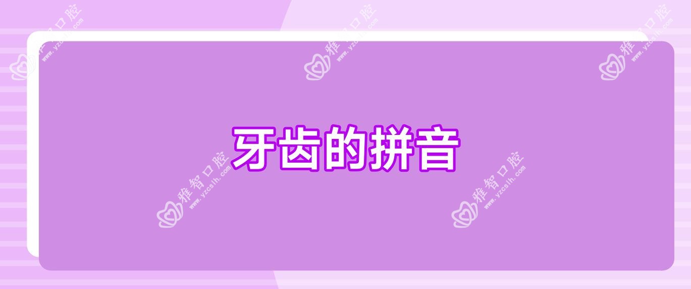 牙齿的拼音