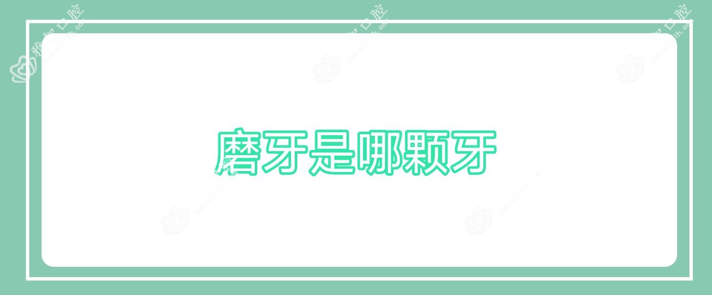 磨牙是哪颗牙