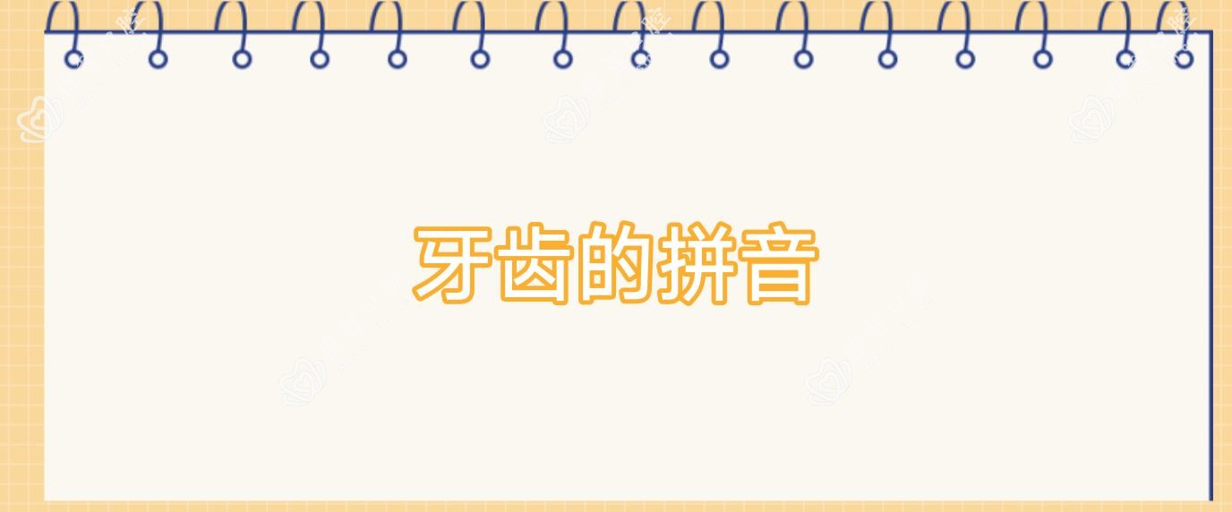牙齿的拼音