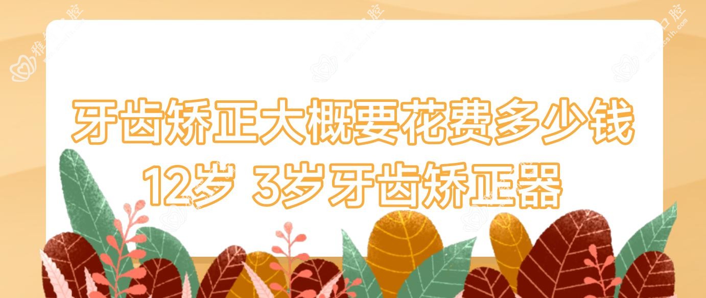 牙齿矫正大概要花费多少钱12岁 3岁牙齿矫正器