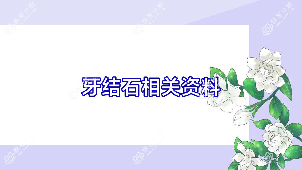 牙结石相关资料