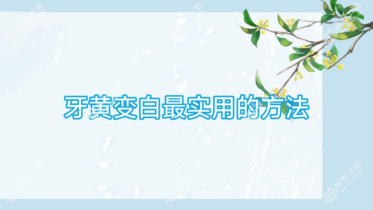 牙黄变白较实用的方法