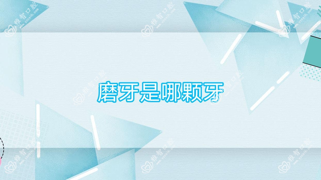 磨牙是哪颗牙