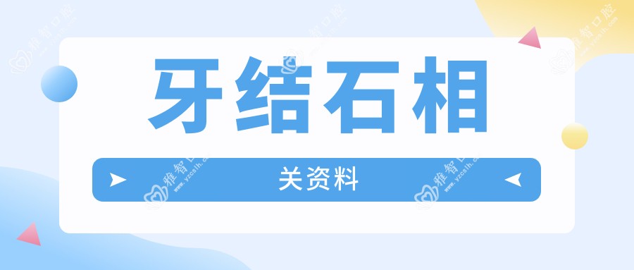 牙结石相关资料