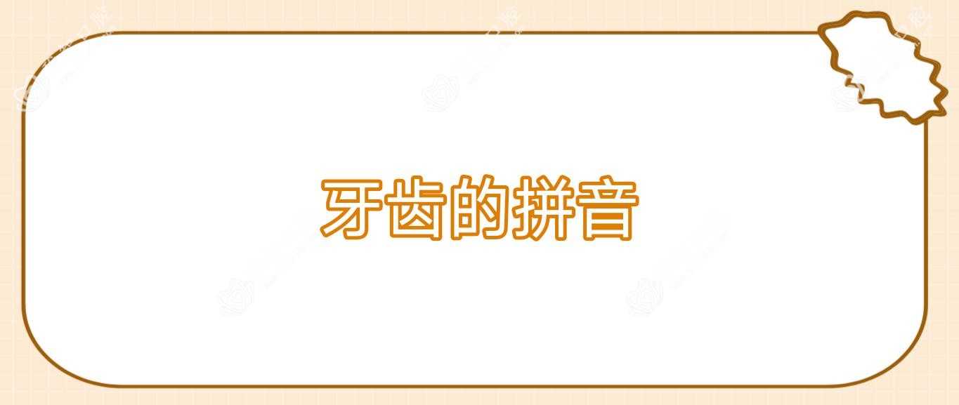 牙齿的拼音
