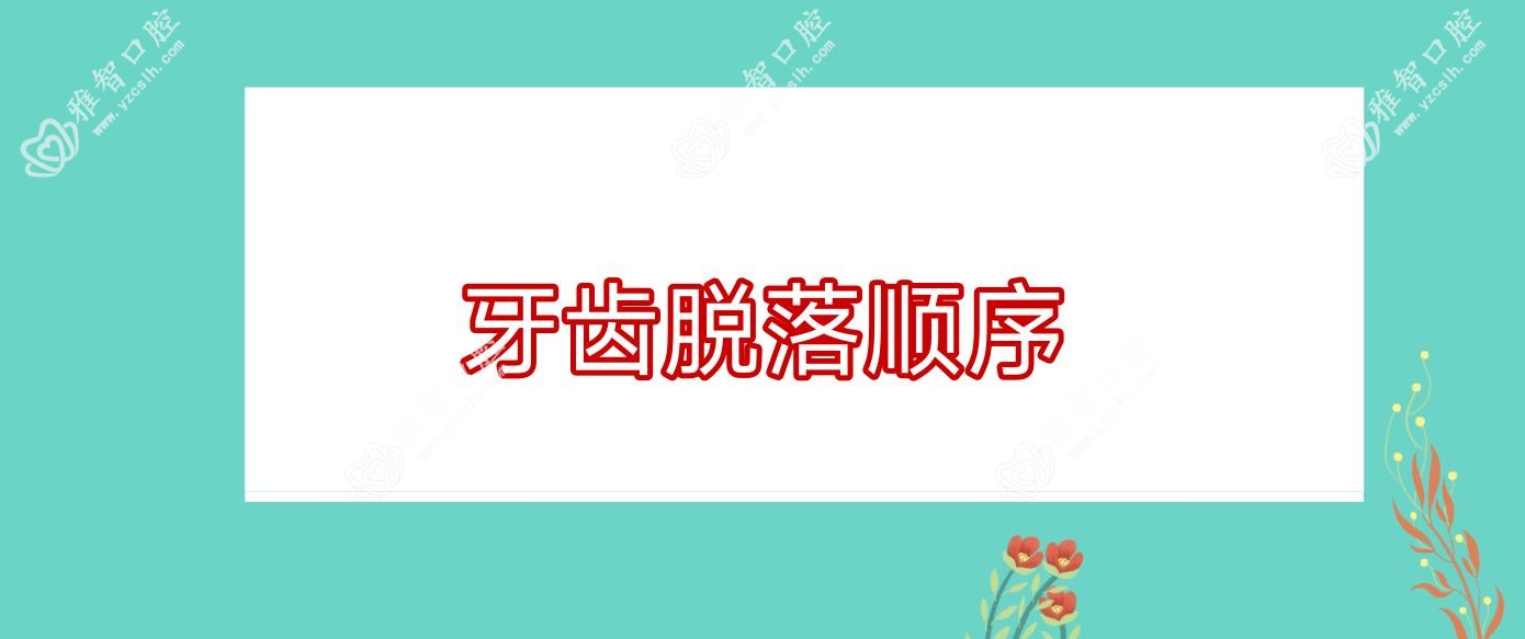 牙齿脱落顺序