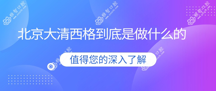 北京大清西格到底是做什么的