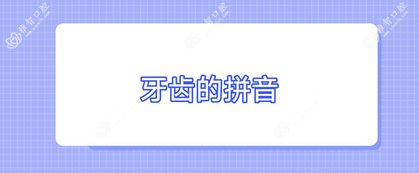 牙齿的拼音