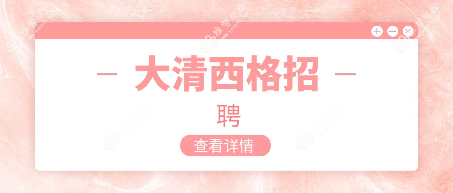 大清西格招聘
