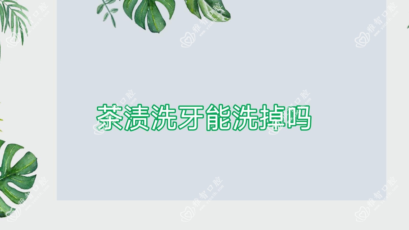 茶渍洗牙能洗掉吗