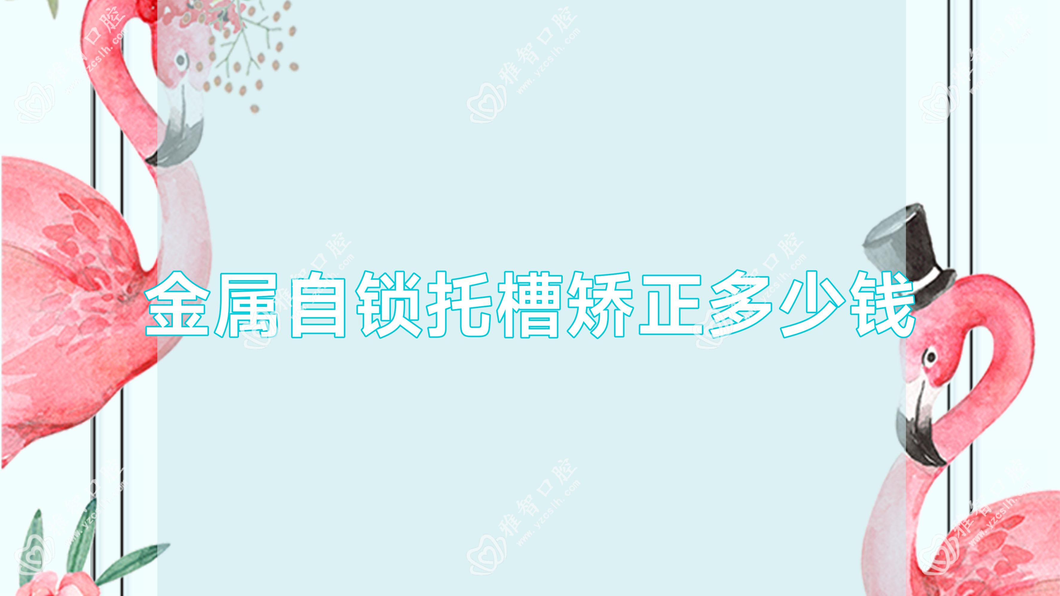 金属自锁托槽矫正多少钱