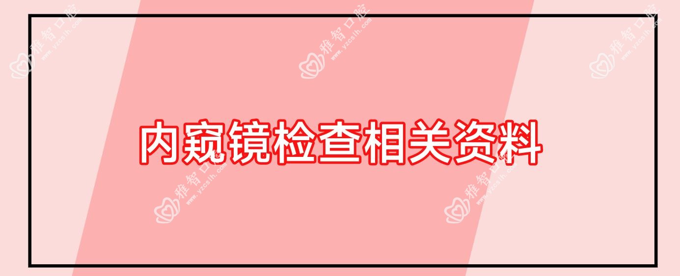 内窥镜检查相关资料