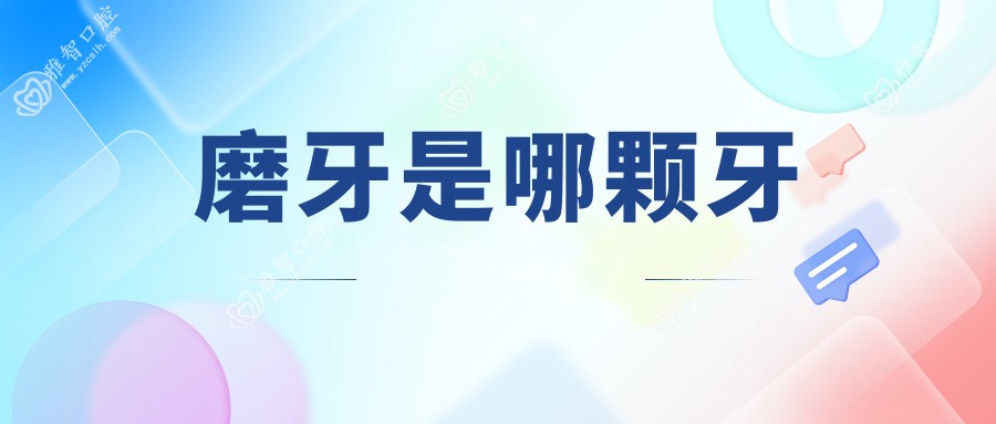 磨牙是哪颗牙
