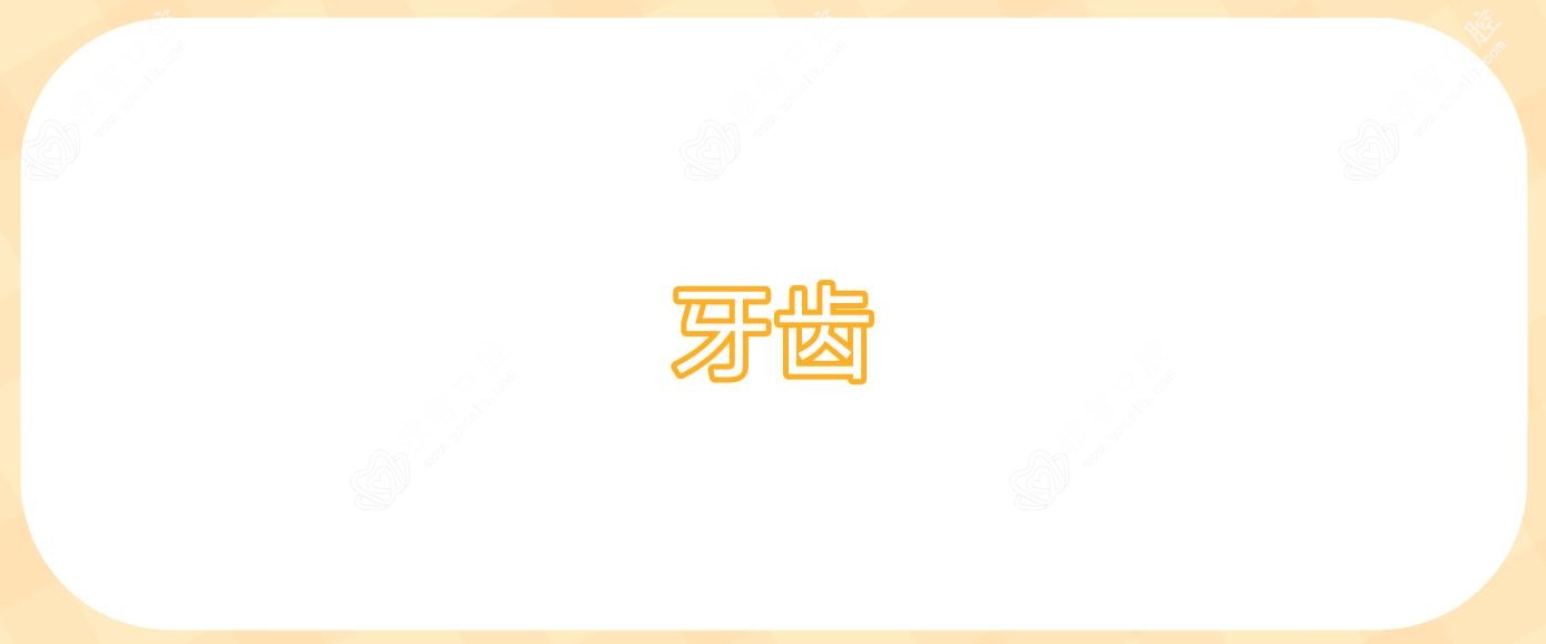 牙齿