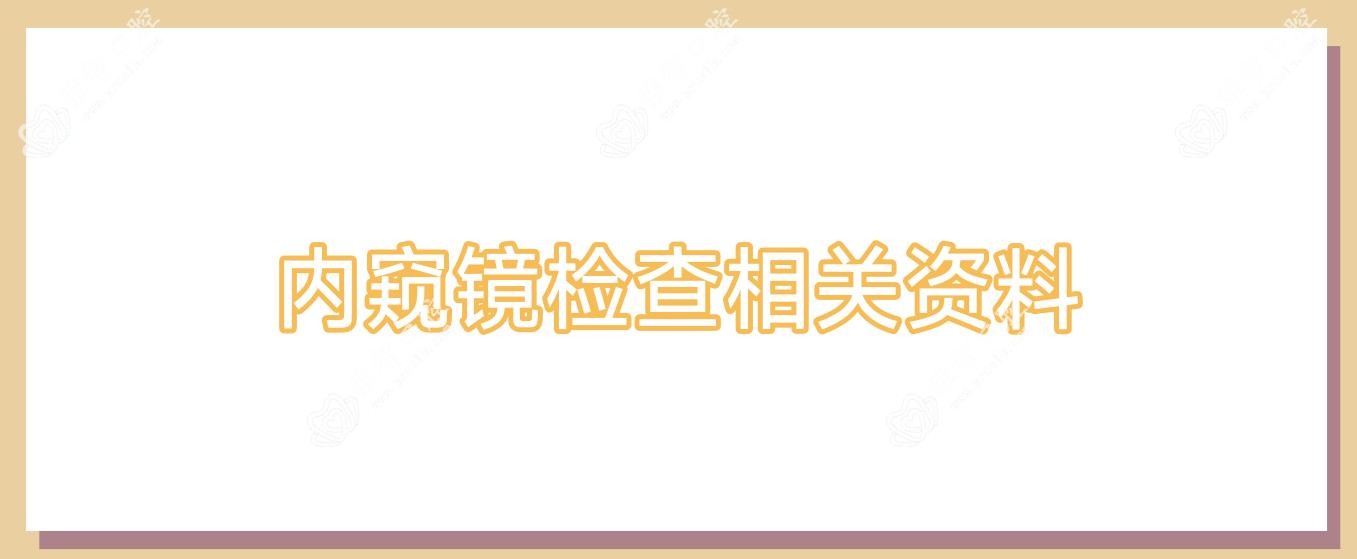 内窥镜检查相关资料