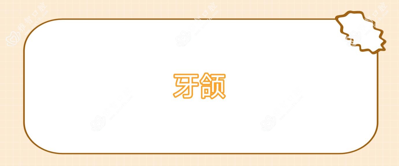 牙颌