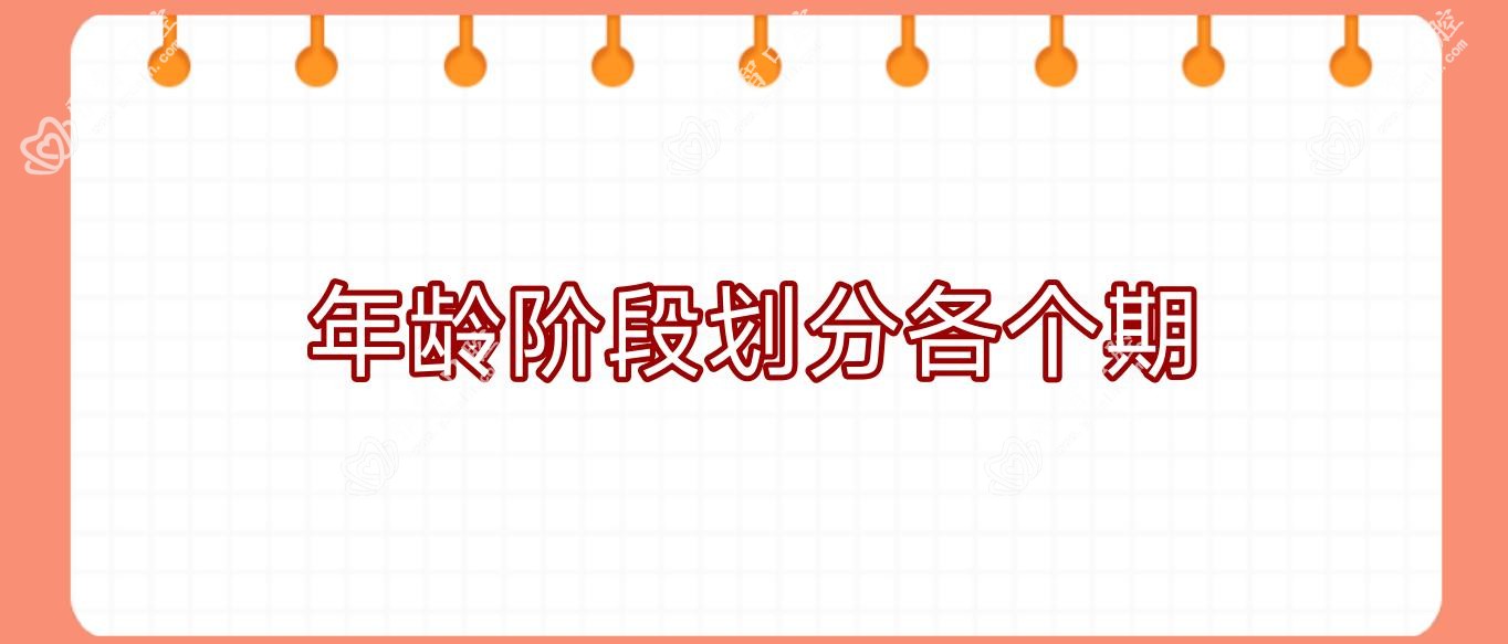 年龄阶段划分各个期