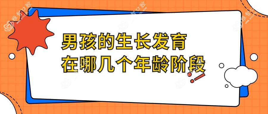 男孩的生长发育在哪几个年龄阶段
