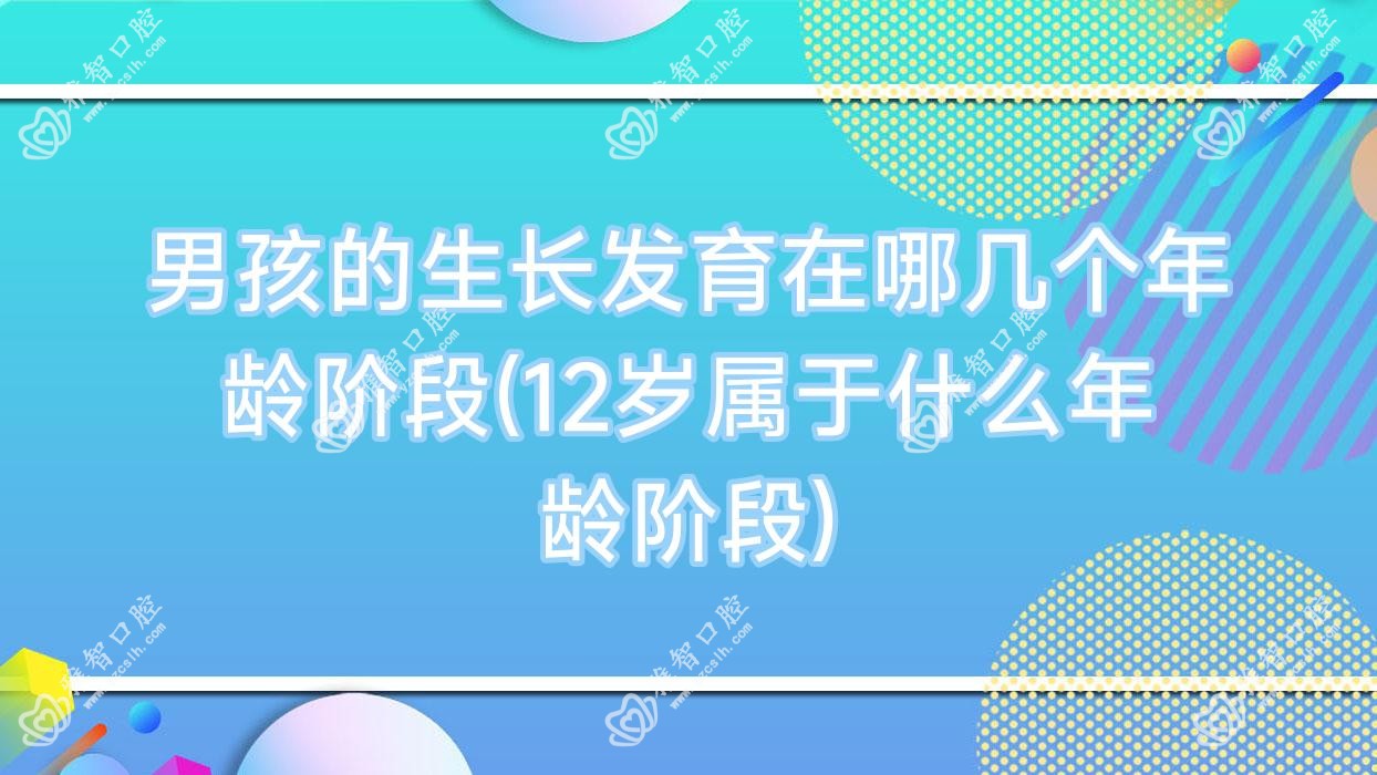 男孩的生长发育在哪几个年龄阶段(12岁属于什么年龄阶段)