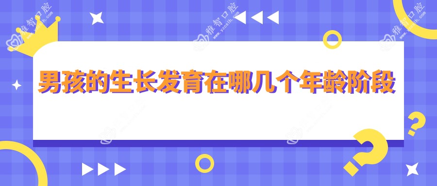 男孩的生长发育在哪几个年龄阶段