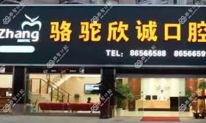 宁波骆驼欣诚口腔
