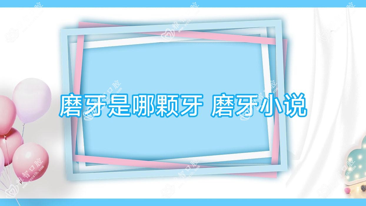 磨牙是哪颗牙 磨牙小说