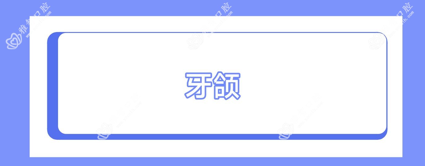 牙颌