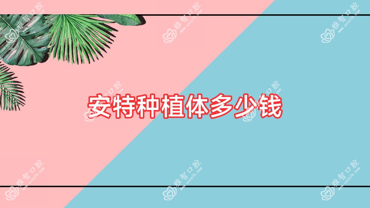 安特种植体多少钱