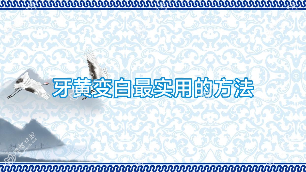 牙黄变白较实用的方法