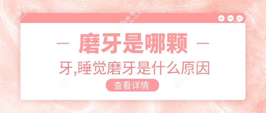 磨牙是哪颗牙,睡觉磨牙是什么原因