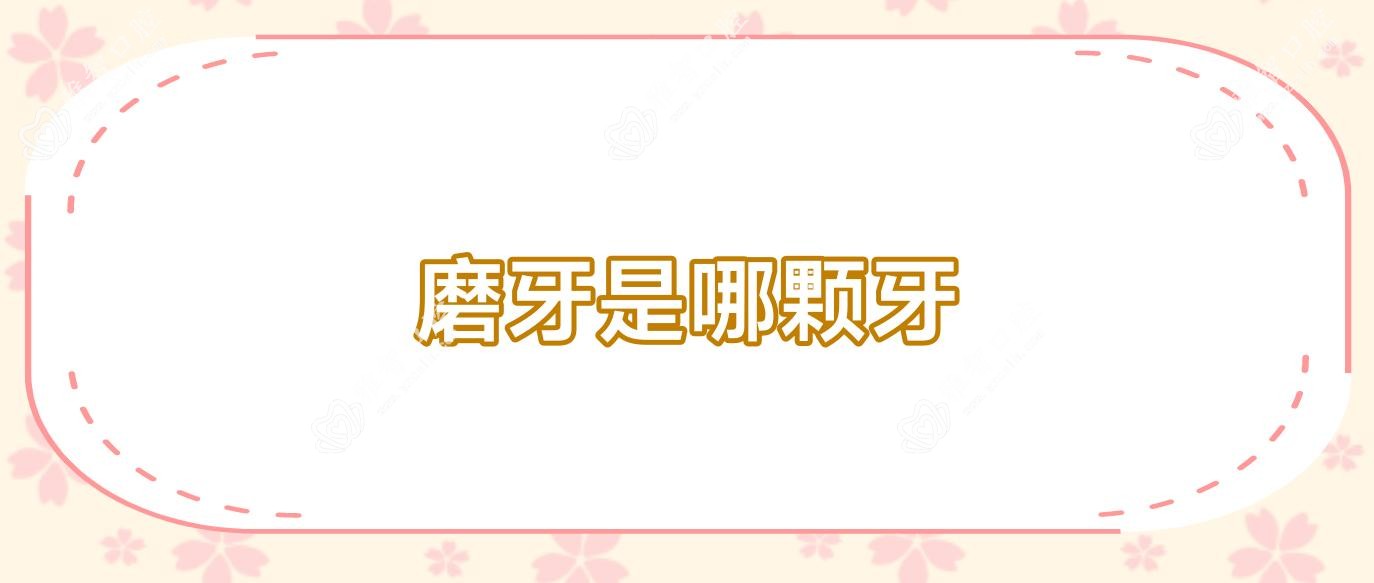磨牙是哪颗牙