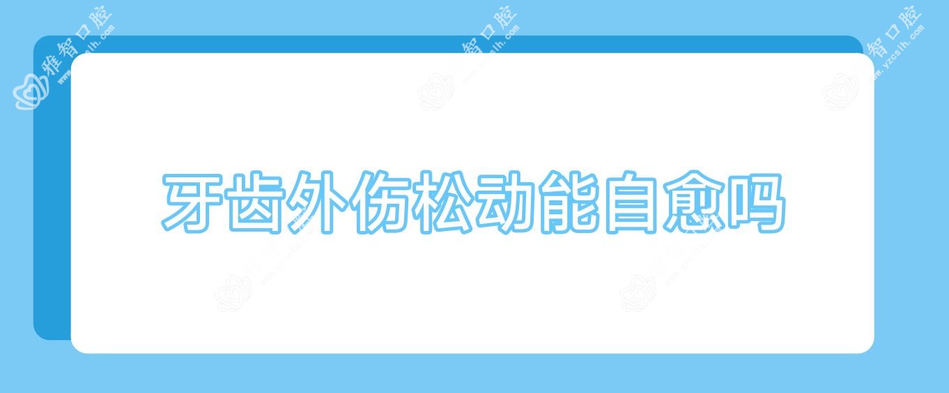 牙齿外伤松动能自愈吗