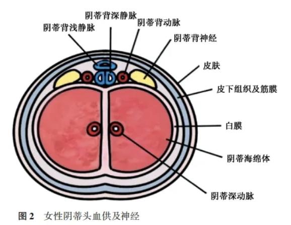 二、私密激光技术分类与适用人群