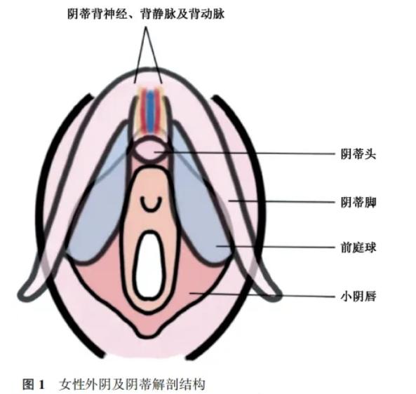 三、选择私密激光技术的注意事项