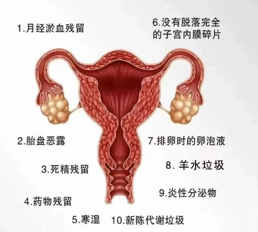 四、私密激光技术的原理与作用机制