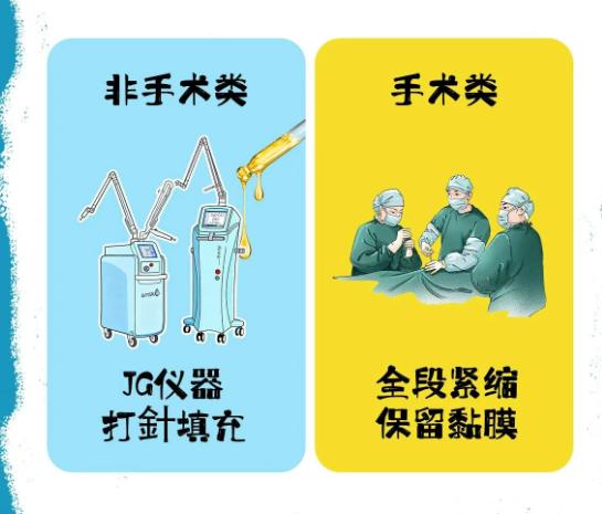 六、技术选择与个体适配性