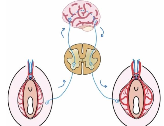 三、南昌爱美美容医院怎么样？用户评价显示环境高端、医生