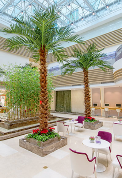 六、杭州美莱口腔