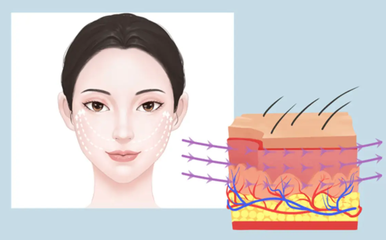 四、常州美莱美容整形面部整形价格区间