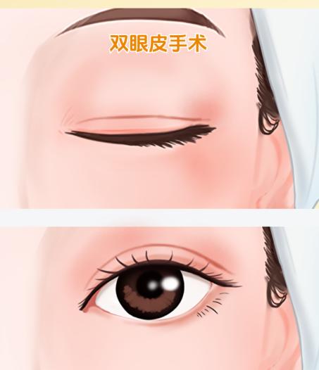 十一、项目要点与用户经验