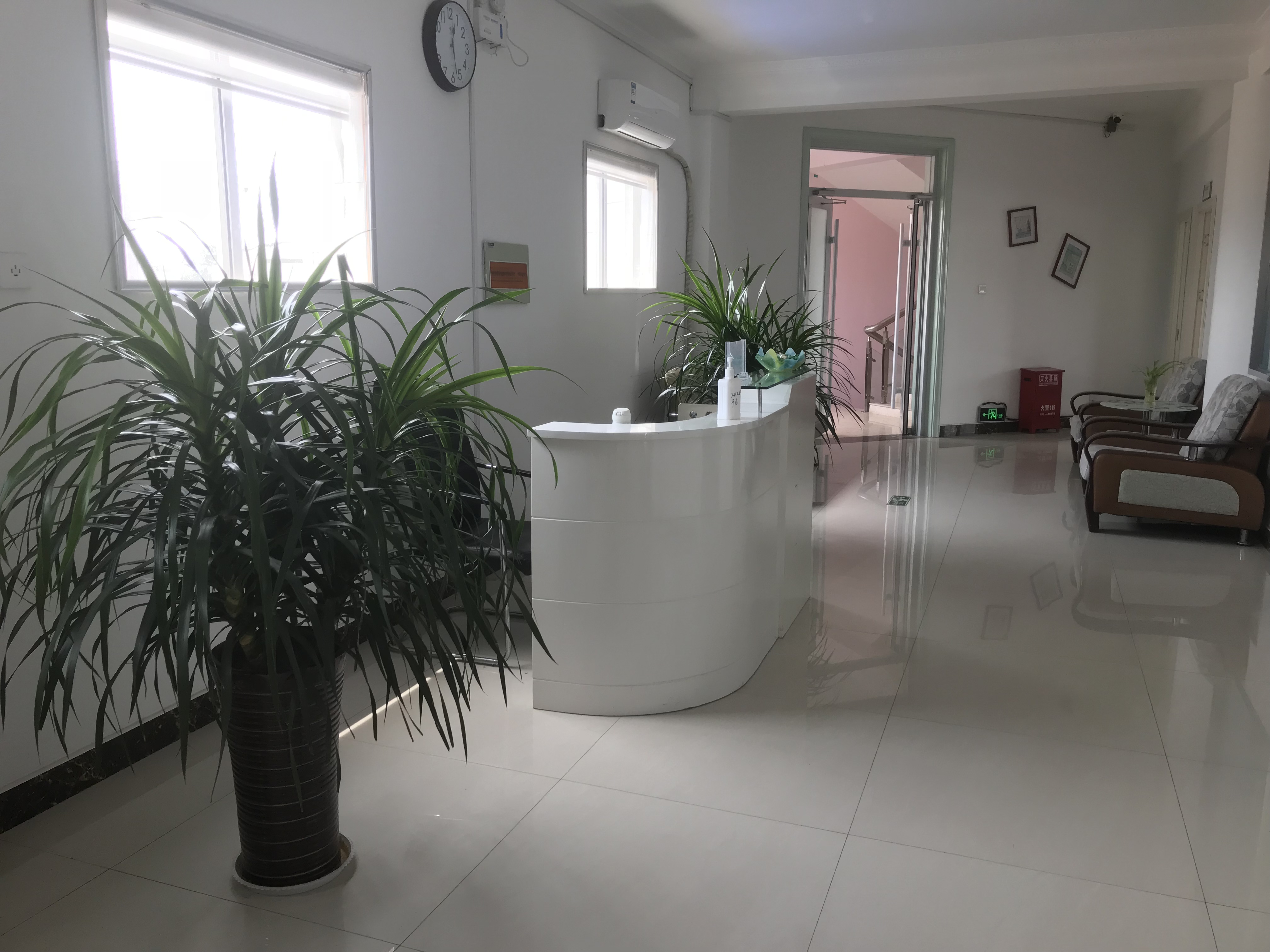 2026年滨州植发哪里好？曦朵、滨州植发医院、医学院附属医院技术更全面更受关注