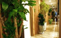 六、韩国珠儿丽整形外科