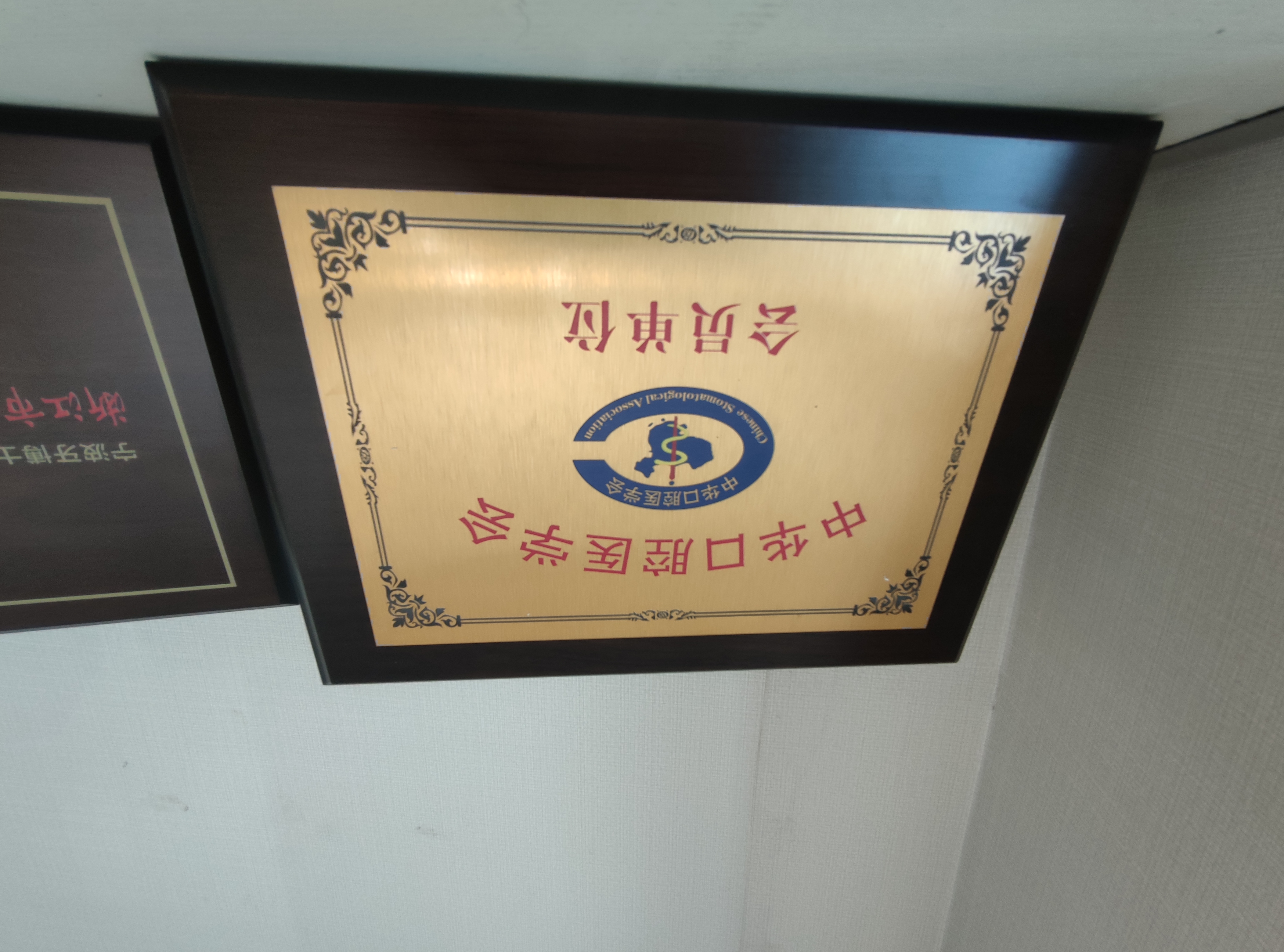 五、牙博士口腔是国内连锁吗？分院布局与服务优势